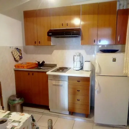 Apartment Branka *